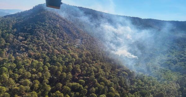 Controlan incendio en el Santuario de la Mariposa Monarca en Michoac&aacute;n