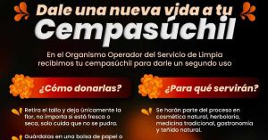 Abren centro de acopio para aprovechamiento de flor de cempas&uacute;chil