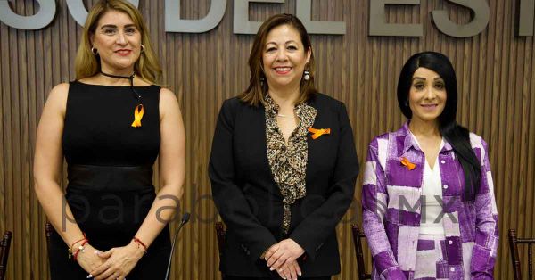 Invita Laura Artemisa a trabajar para erradicar violencia contra las mujeres