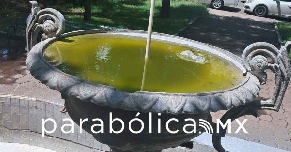 Alerta IMSS Puebla por contagios por dengue durante la temporada de lluvias