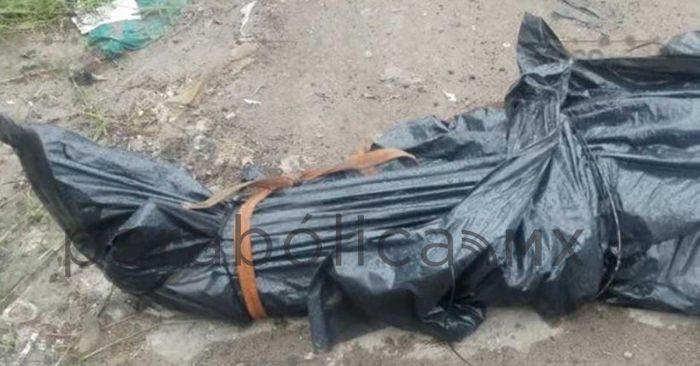 Localizan cad&aacute;ver en colonia Santa Luc&iacute;a