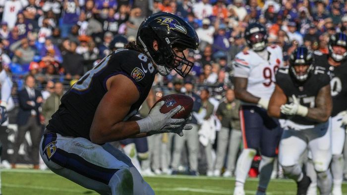 Un intento por levantar el vuelo