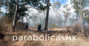 Sofocan incendio en el cerro de Amalucan