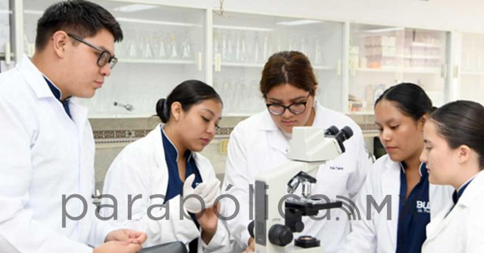 Tiene Facultad de Enfermer&iacute;a mayor n&uacute;mero de SNII en la disciplina