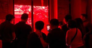 Más de 16 mil asistentes participaron en la pasada Noche de Museos