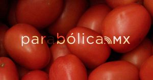 Anuncia el Gobierno de los Estados Unidos arancel al tomate mexicano