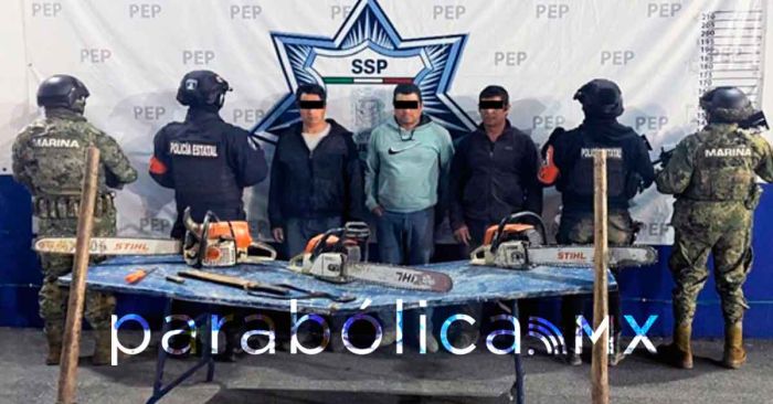 Capturan SSP y Marina a tres presuntos talamontes en Tetela de Ocampo