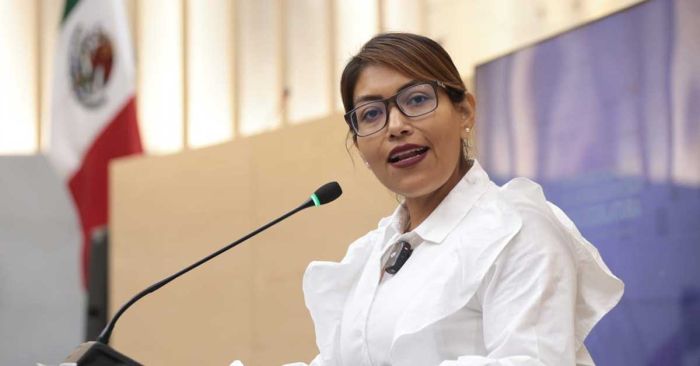Impulsan en el Congreso exhorto para atender a animales en situación de calle