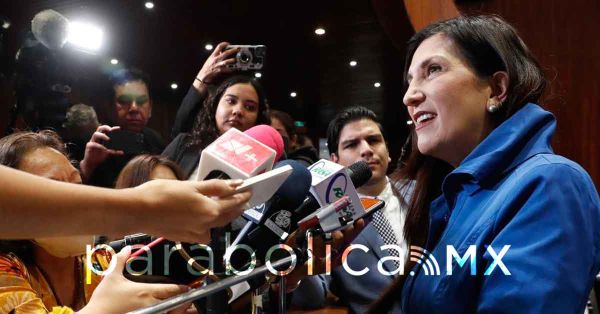 Propone Kenia L&oacute;pez cero impuestos a alimentos y medicinas para mascotas