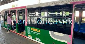 Atienden casi 500 casos de acoso en el sistema RUTA