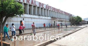 Avanza en la limpieza y atención sanitaria en Poza Rica y Álamo: Rocío Nahle