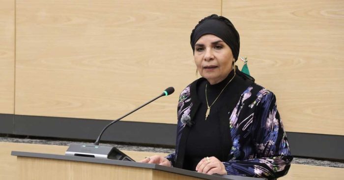 Aprueba Congreso del Estado reformas para reducir uso de pirotecnia sonora