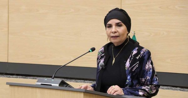 Aprueba Congreso del Estado reformas para reducir uso de pirotecnia sonora