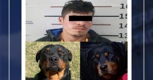 Detienen a Rafael por crueldad animal