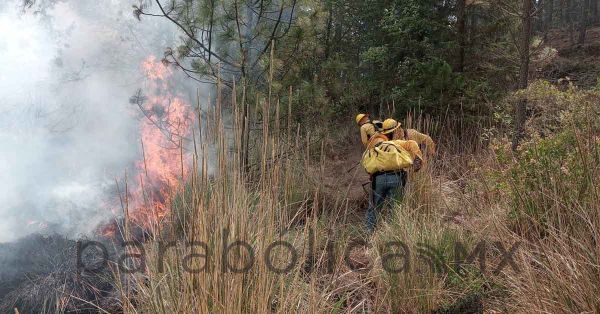 Reporta Segob 20 incendios forestales en la última semana