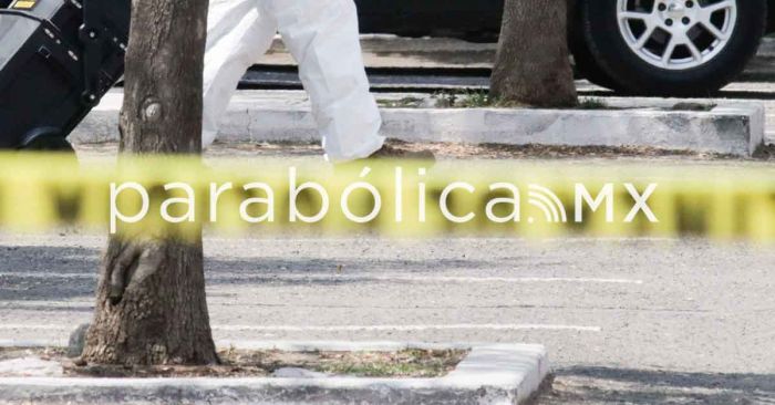 Ofrece el Gabinete federal informe en materia de seguridad