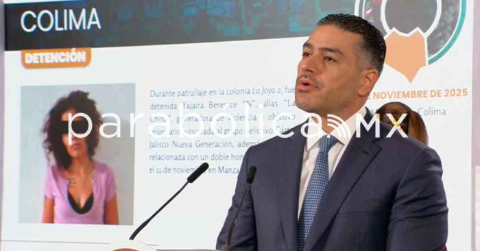 Destaca Harfuch socializaci&oacute;n de la seguridad en Michoac&aacute;n y Sinaloa