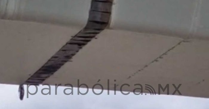 Descarta Infraestructura estatal da&ntilde;o estructural en el Puente de Calzada Zaragoza