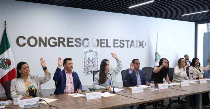 Palomean en comisión reformas al Código Penal