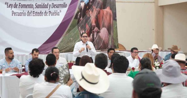 Arrancan foros para la “Ley de Fomento, Sanidad y Desarrollo Pecuario”