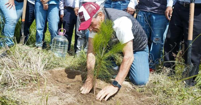 Plantea Ayuntamiento de Puebla plantar 100 mil &aacute;rboles en 2026