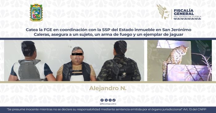 Catean inmueble en San Jer&oacute;nimo Caleras, hab&iacute;a un jaguar