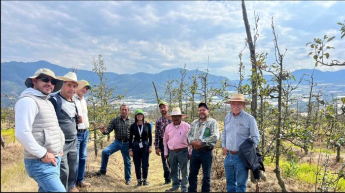 Fortalecen conocimientos productores de manzana de Zacatlán
