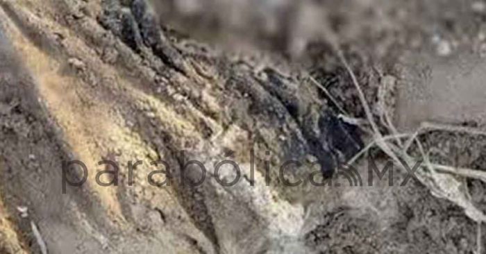 Encuentran cadáver de una mujer calcinada en Acajete