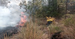 Apoyan brigadas forestales a extinguir el incendio de Tlachichuca