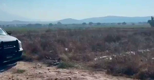 Indaga FGE hallazgo de restos óseos en Palmar de Bravo