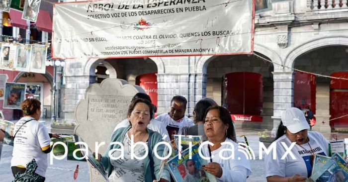 Retiran colectivos el &quot;Árbol de la Esperanza&quot;