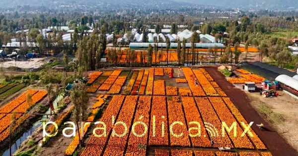 Anuncia CDMX una gran conmemoraci&oacute;n del D&iacute;a de Muertos en el Parque Ecol&oacute;gico de Xochimilco