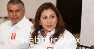 Que Néstor Camarillo explique su renuncia al PRI: Nadia Navarro