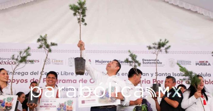 Impulsa Armenta la reforestación con especies frutales en Puebla