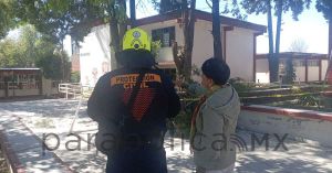 Atiende Protección Civil Municipal reportes de caída de árboles en diversas zonas de la ciudad