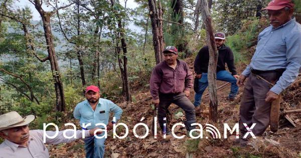Anticipa Zacatlán talleres para la Reforestación Estratégica Integral