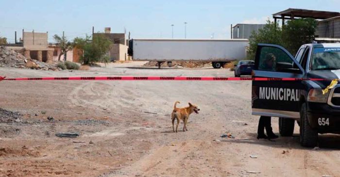 Hallan 381 cuerpos sin cremar en Ciudad Juárez