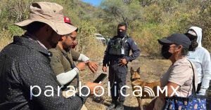 Mantiene B&uacute;squeda estatal tareas operativas para la localizaci&oacute;n de Nemecio Herrera Guti&eacute;rrez