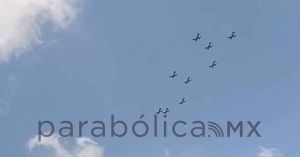 Alistan participación de la Fuerza Aérea Mexicana en 5 de mayo