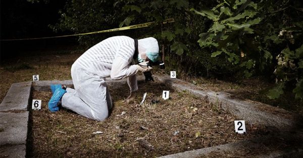Hallan a un hombre sin vida a un costado de la carretera en Zaragoza