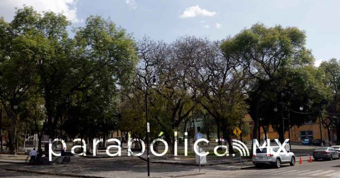 Realiza el ayuntamiento de Puebla una Macro Jornada Ambiental