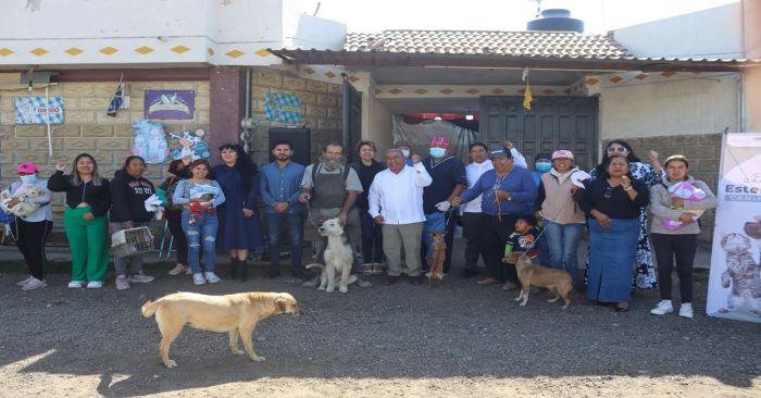 Realizan Jornadas Gratuitas de Esterilización para perros y gatos en Amozoc