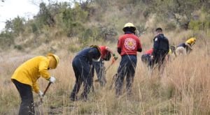 Capacita San Pedro Cholula en combate a incendios forestales