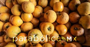 Ofrecerán poblanos sus productos en la Central de Abasto de CDMX: SDR