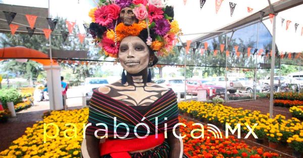 Se coloca Puebla como líder nacional en producción de flor de cempasúchil: SDR