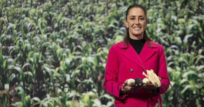 Presenta Sheinbaum Plan Nacional del Maíz Nativo