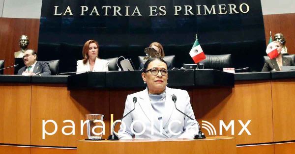 No esperamos que otros pa&iacute;ses hagan nuestro trabajo: Rosa Icela al Senado