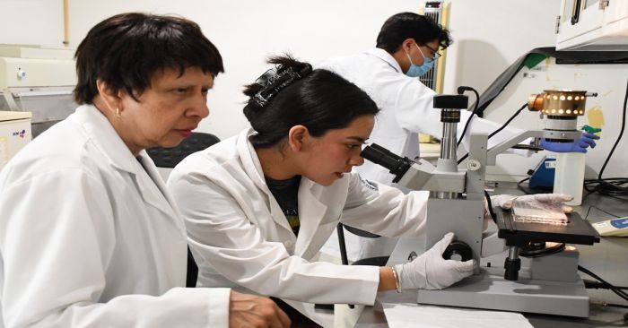 Predicen y describen investigadores BUAP la regeneraci&oacute;n epitelial