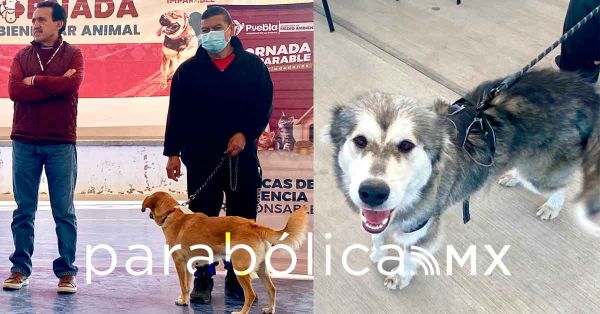 Realiza ayuntamiento de Puebla una Jornada de Protecci&oacute;n Animal en La Guadalupana
