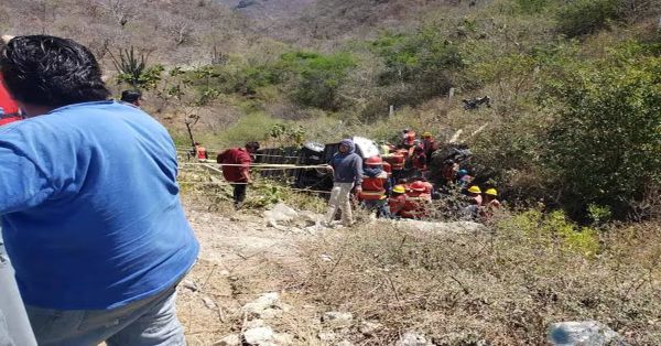 Investiga acad&eacute;mico del ICUAP organismos del suelo que favorecen fertilidad y conservaci&oacute;n